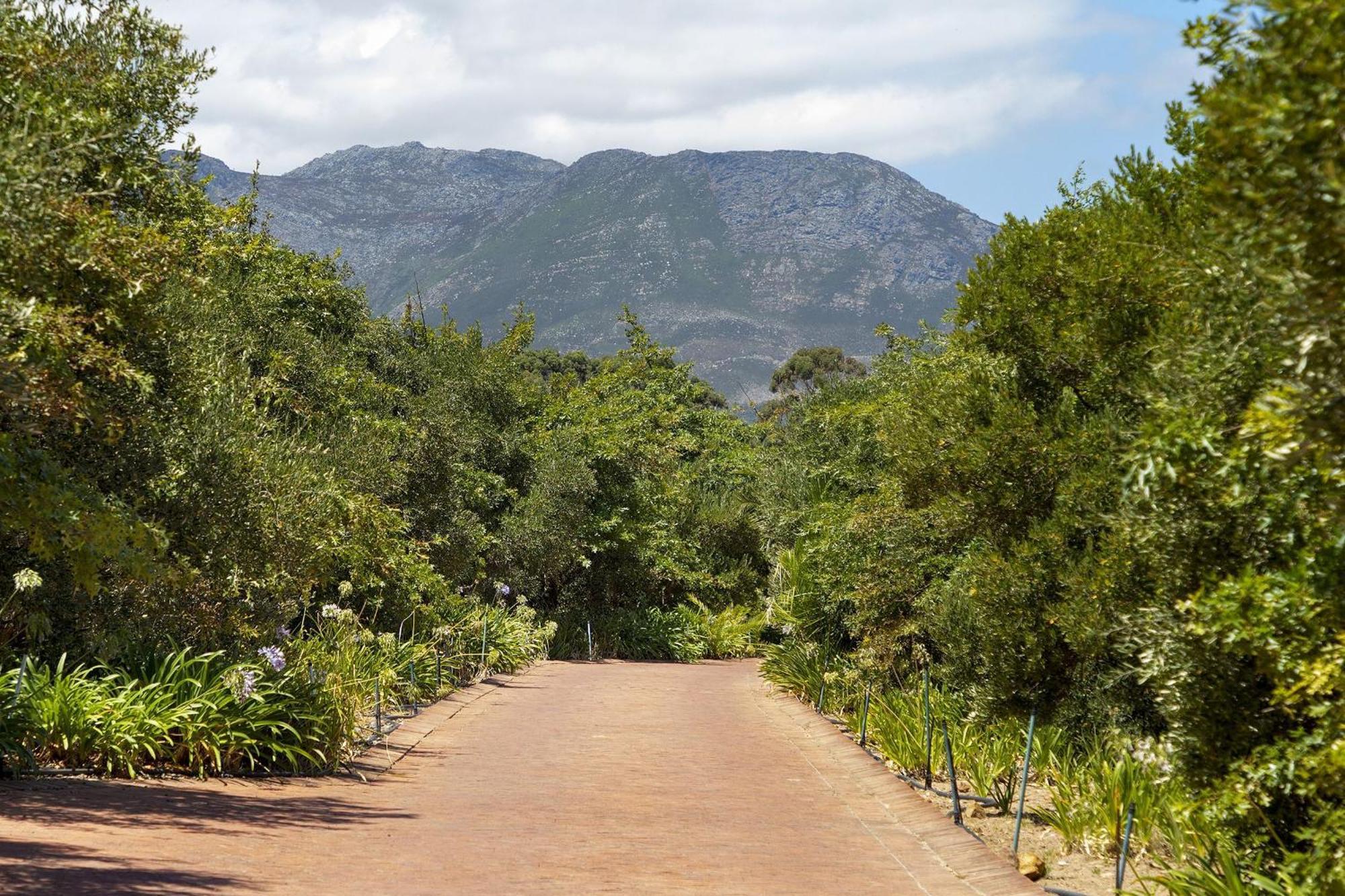 Vineyard Manor At 13 Vines By Hostagents Villa Somerset West Exterior photo