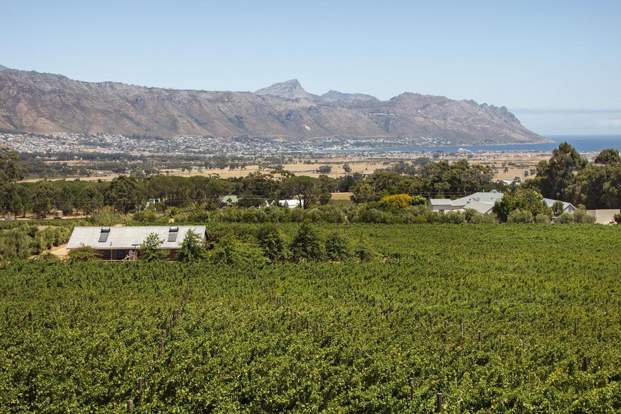Vineyard Manor At 13 Vines By Hostagents Villa Somerset West Exterior photo